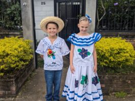 {{brizy_dc_image_alt entityId=